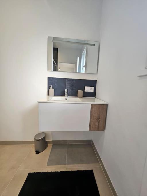 Apartamento T 2 Lumineux Drome Des Collines Chateauneuf-de-Galaure Exterior foto