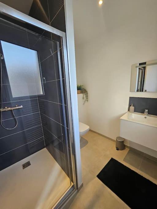 Apartamento T 2 Lumineux Drome Des Collines Chateauneuf-de-Galaure Exterior foto